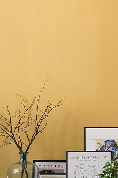 Surrey spray painting service